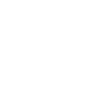 The Shadowboxers Home